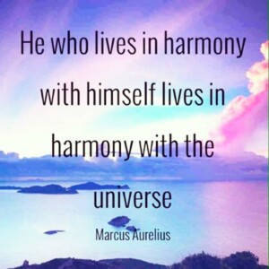 wekosh-peace-harmony-quote-he-who-lives-in-harmony-with-himself-lives-in-harmony-with-the-universe-marcus-aurelius