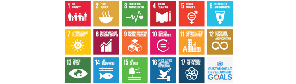SDGs-WWW-website